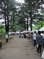 RIMG0109.jpg