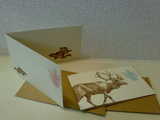SAB LETTERPRESS